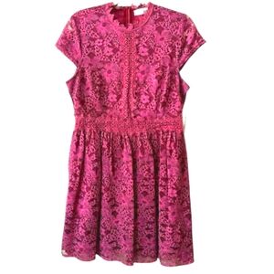 Altar'd State Burgundy Lace Fit & Flare Party Dress Cap Sleeve   Hidden Zip MED